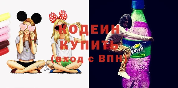 СК Снежногорск