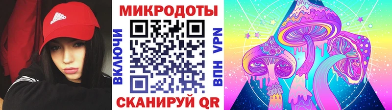 Купить где  Нарьян-Мар  Галлюциногенные грибы Psilocybe 