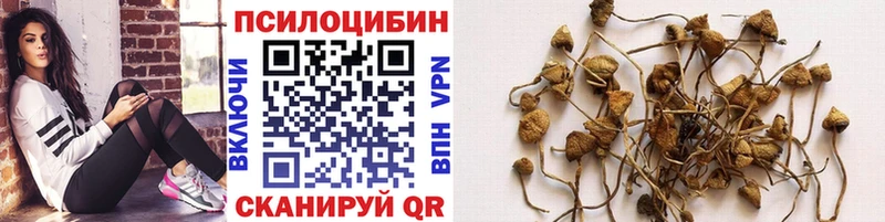 Галлюциногенные грибы мухоморы Нарьян-Мар